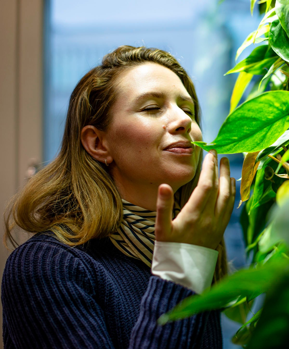 Viherkasviratkaisut Coorilla