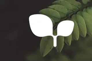 Coorin ympäristökonseptin Envirosensen logo
