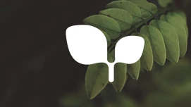 Coorin ympäristökonsepti Envirosense