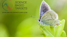 Science Based Targets -logo ja perhonen